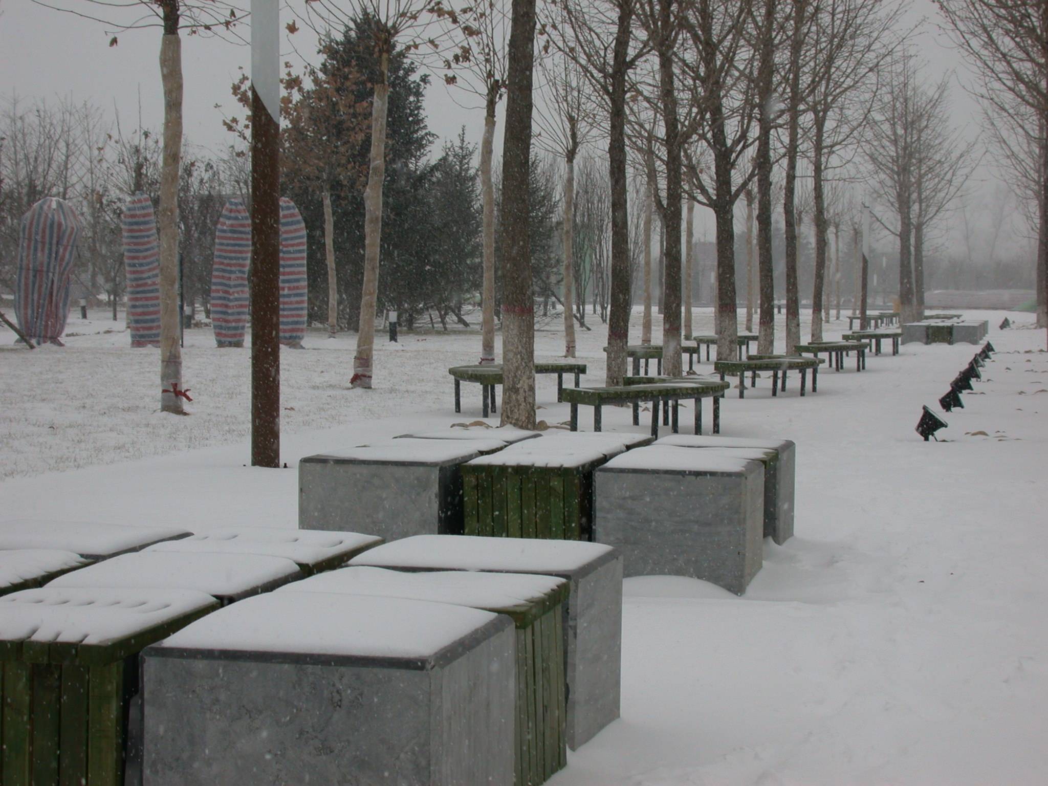 DSCN2254.JPG