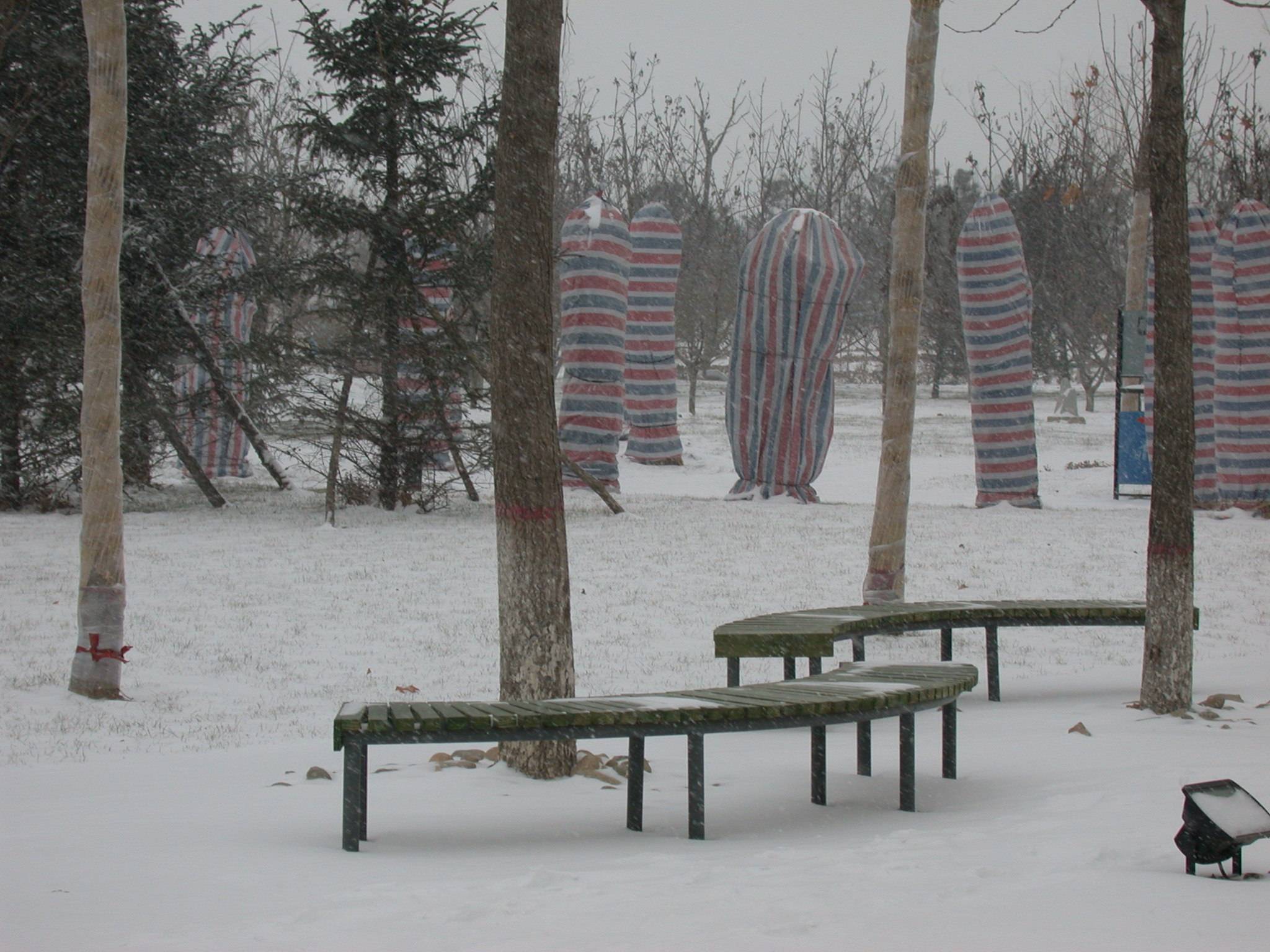 DSCN2253.JPG