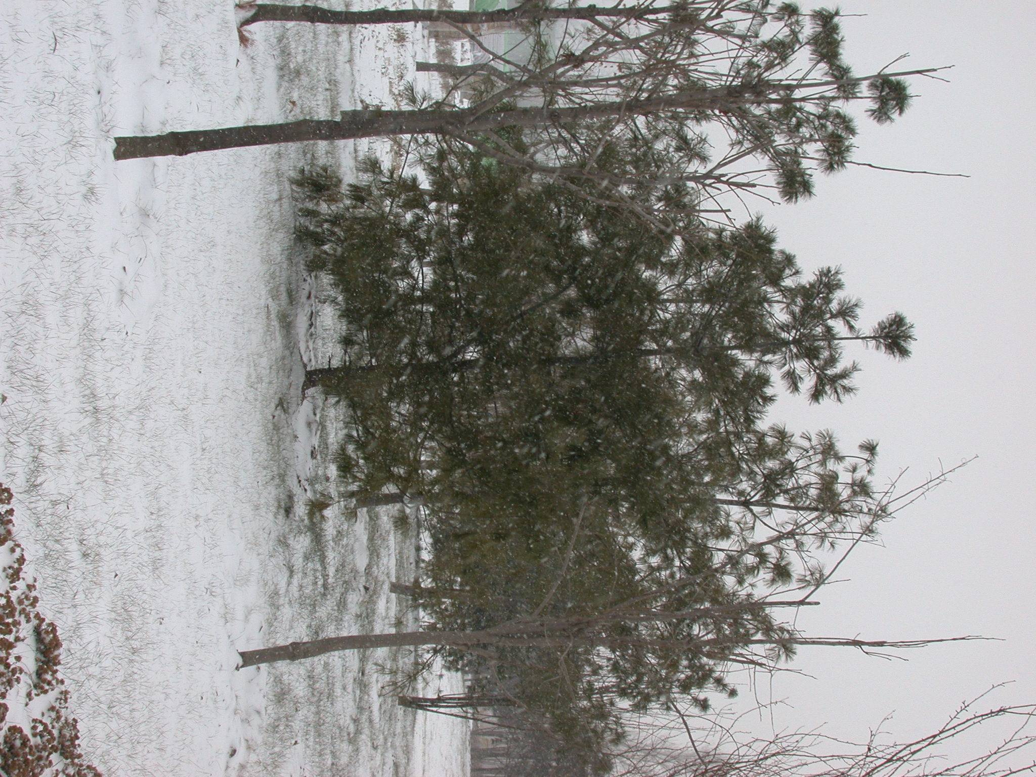 DSCN2258.JPG