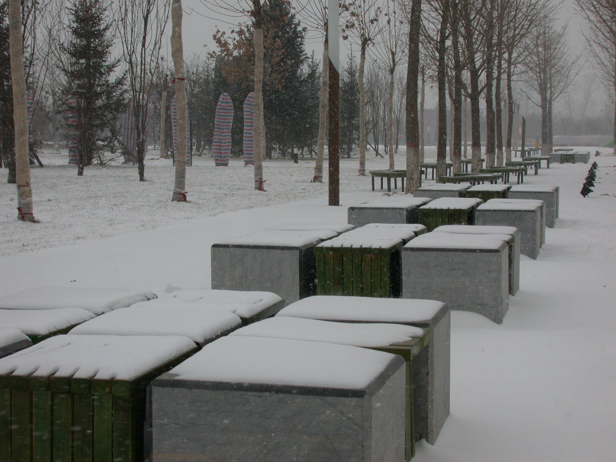 DSCN2256.JPG