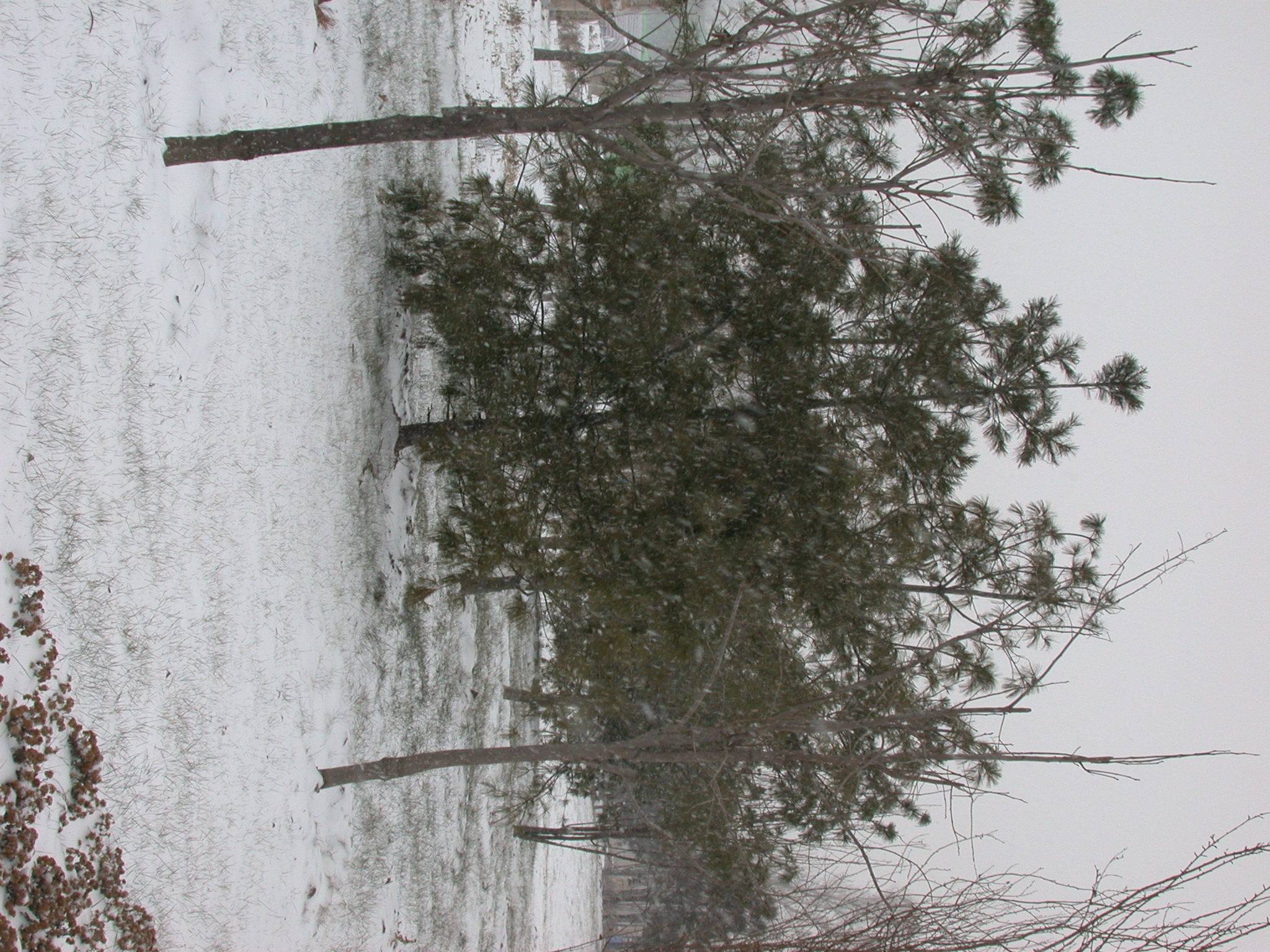DSCN2257.JPG