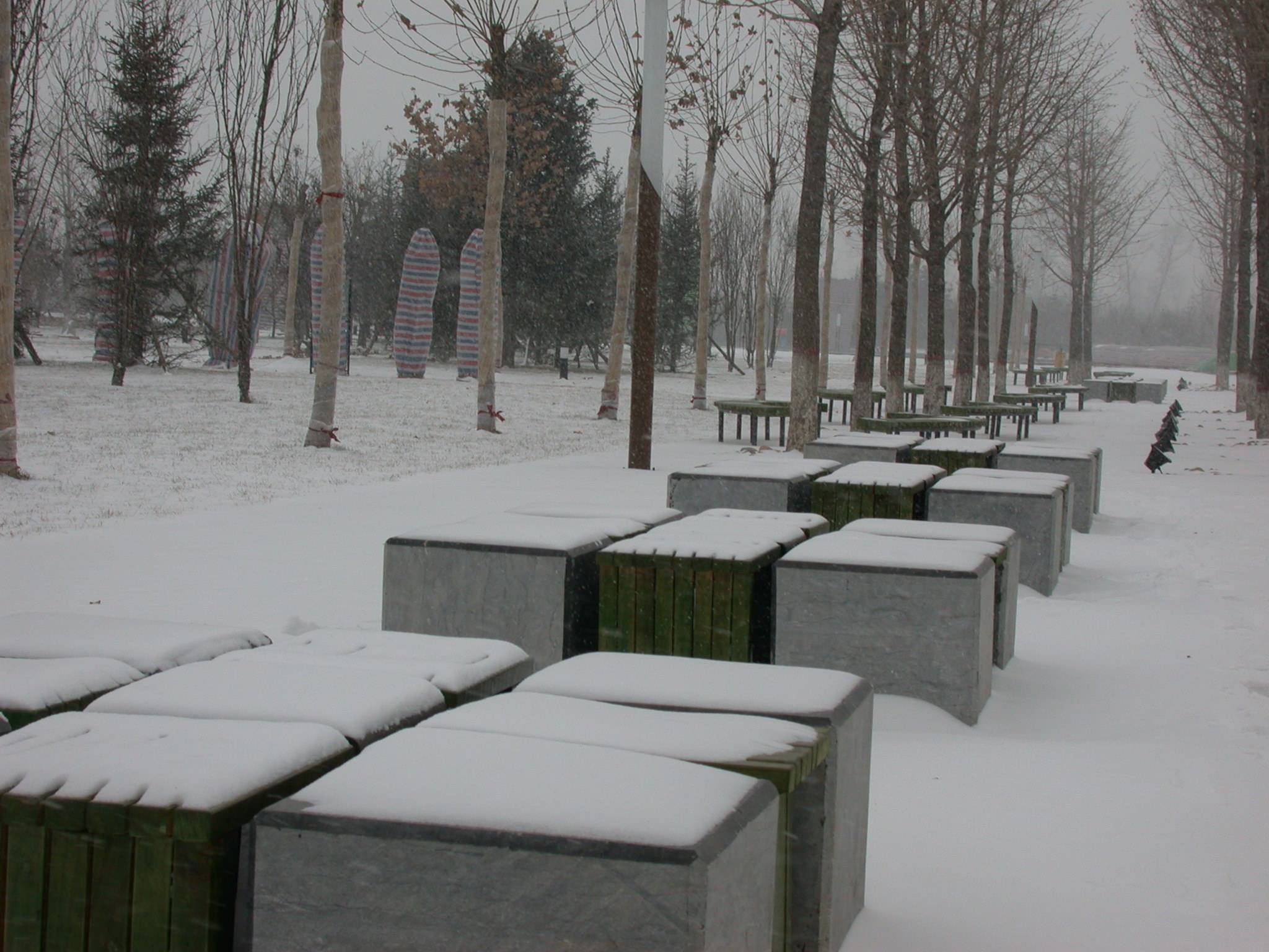 DSCN2255.JPG