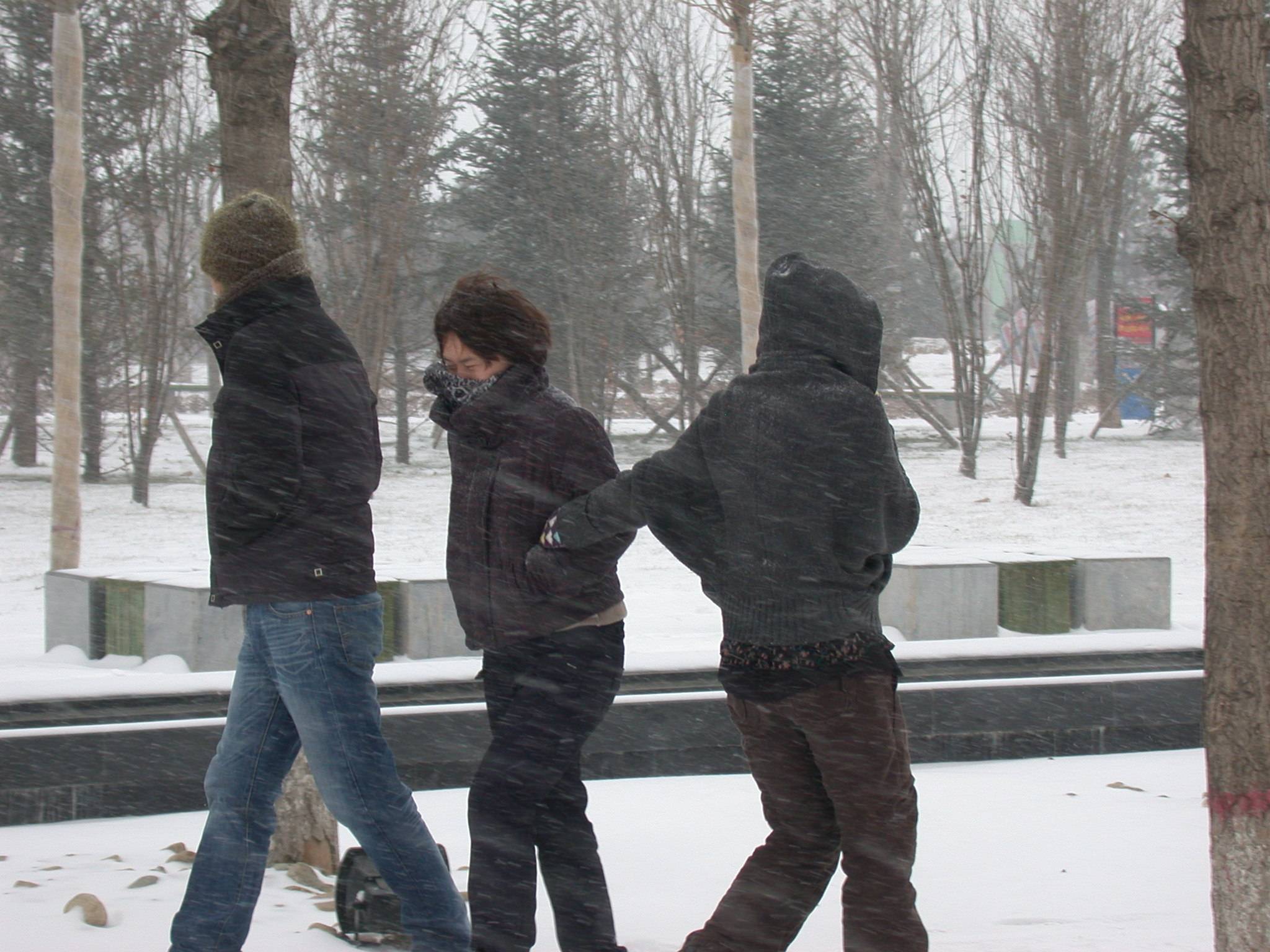 DSCN2263.JPG
