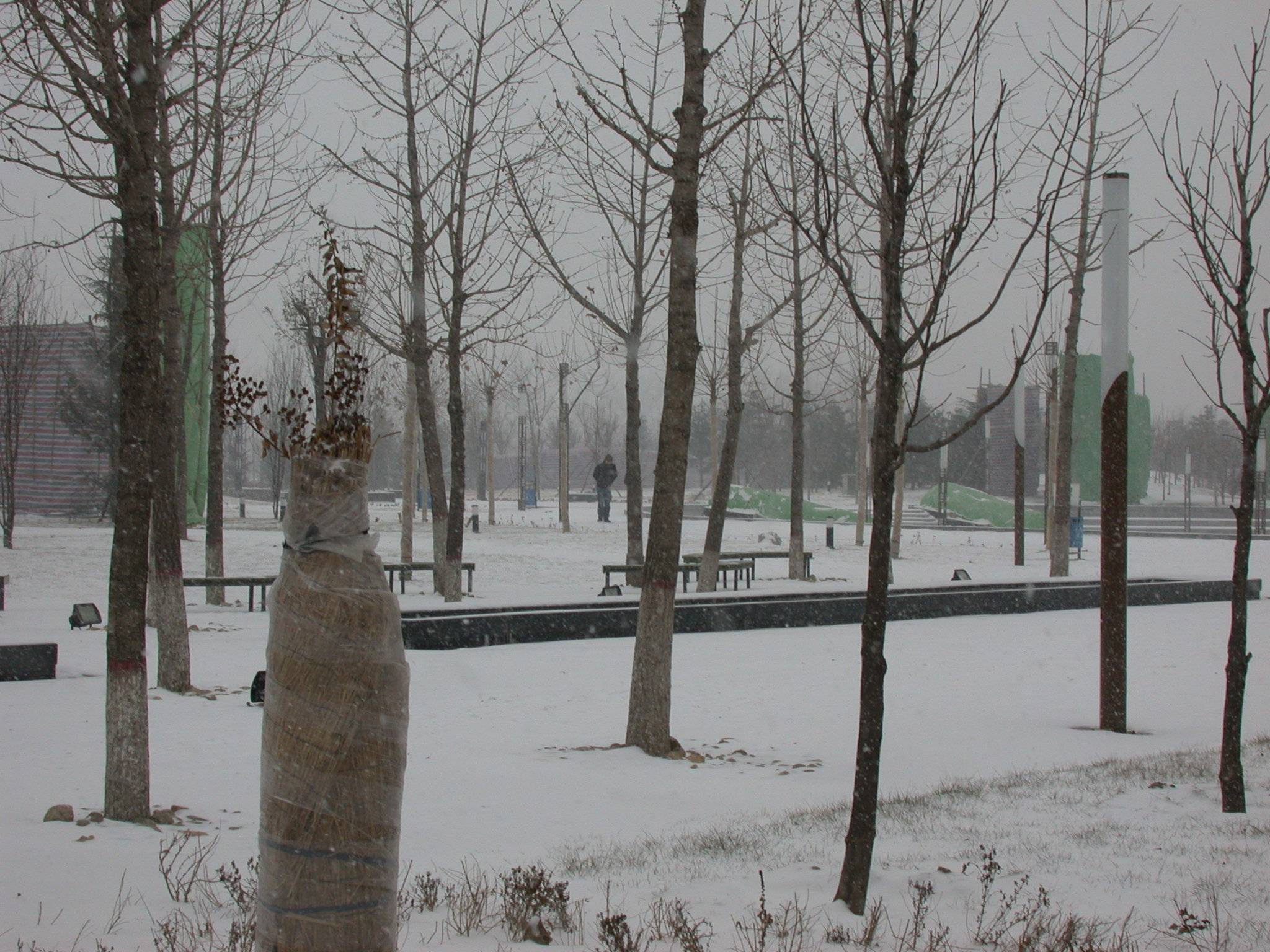 DSCN2259.JPG