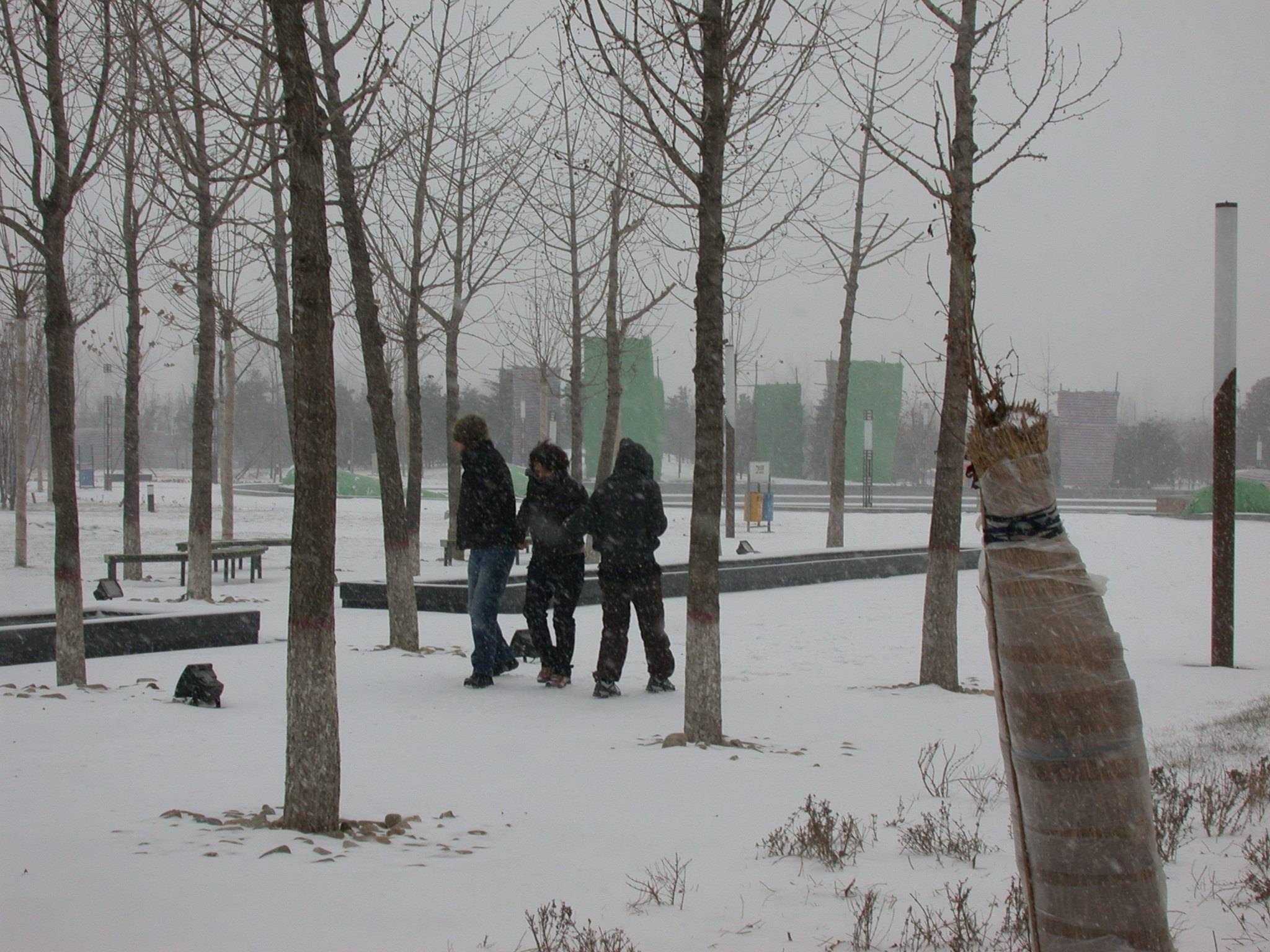DSCN2261.JPG