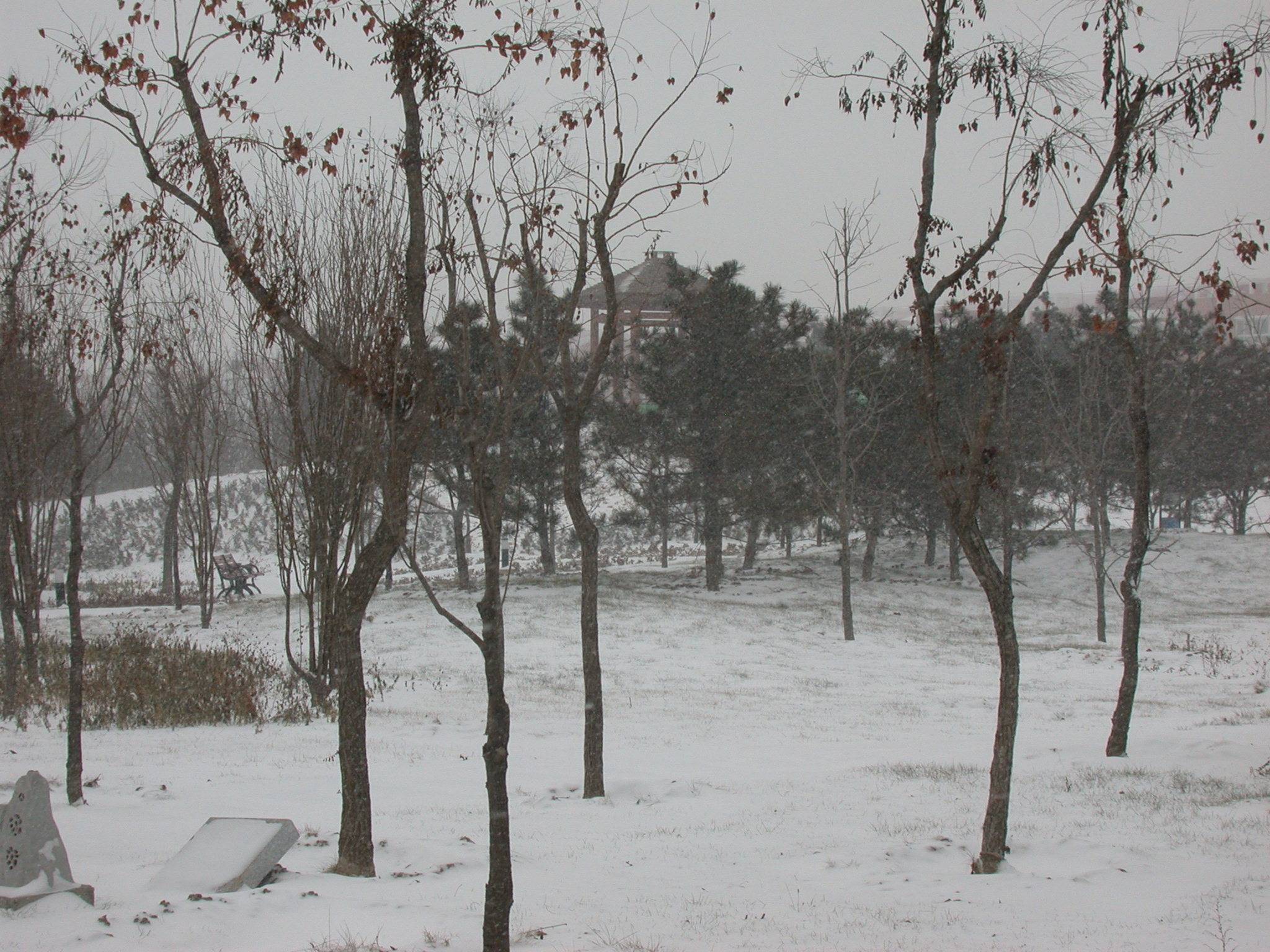 DSCN2265.JPG