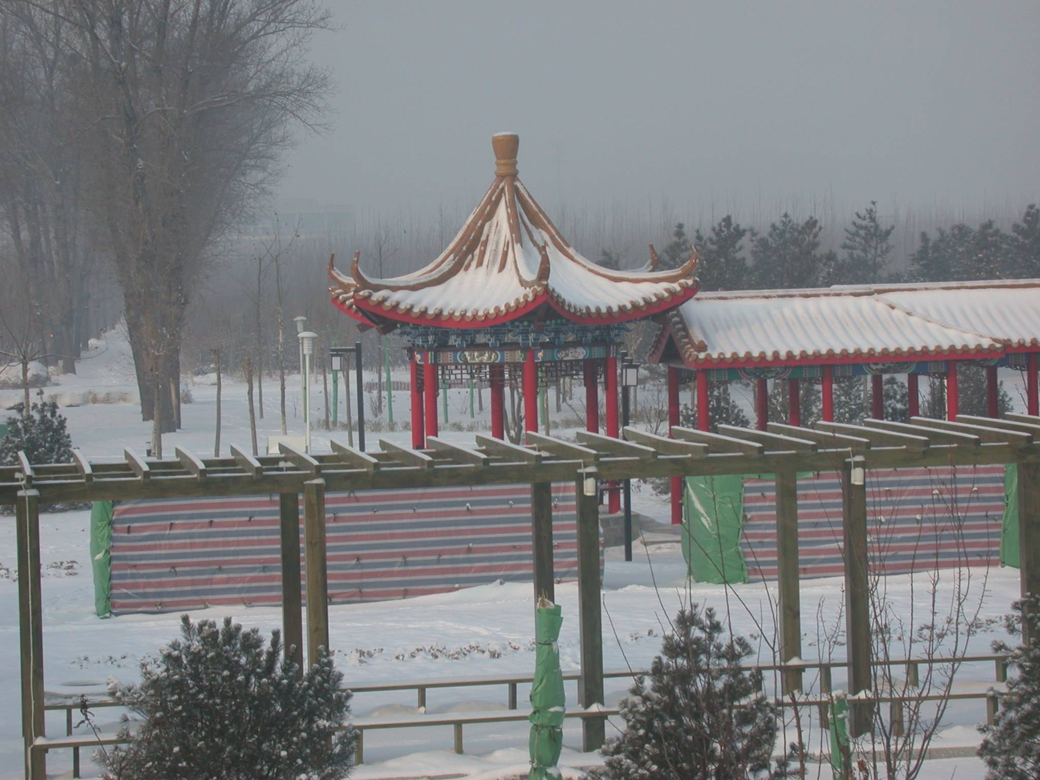 DSCN2316.JPG