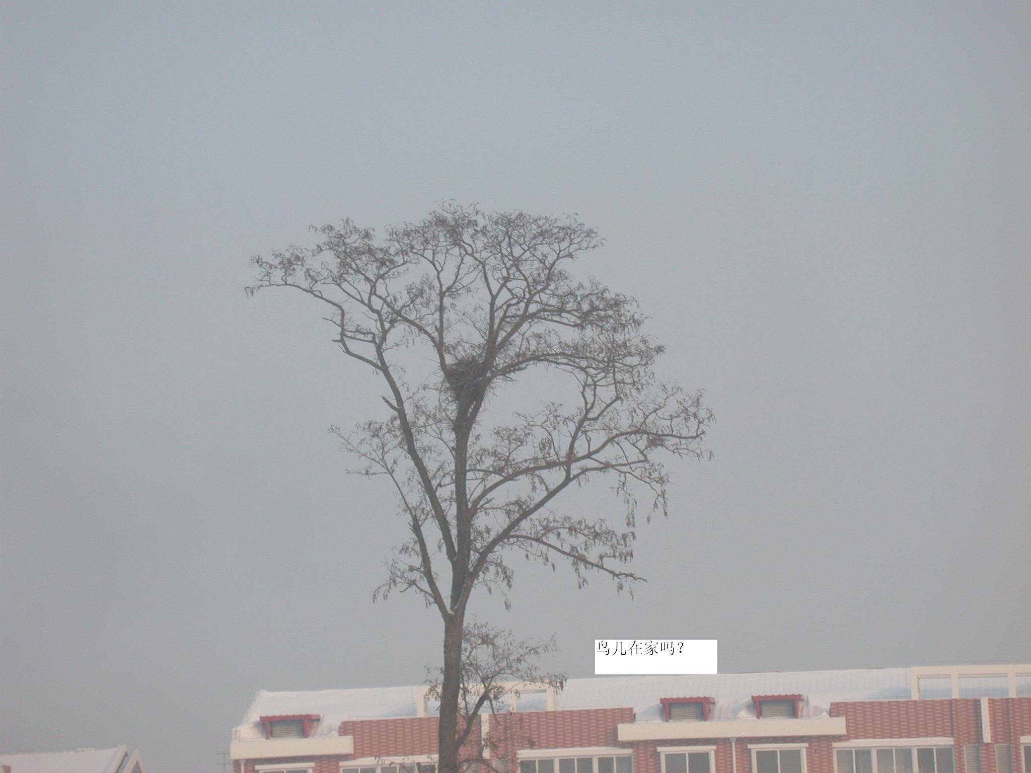 DSCN2315.JPG