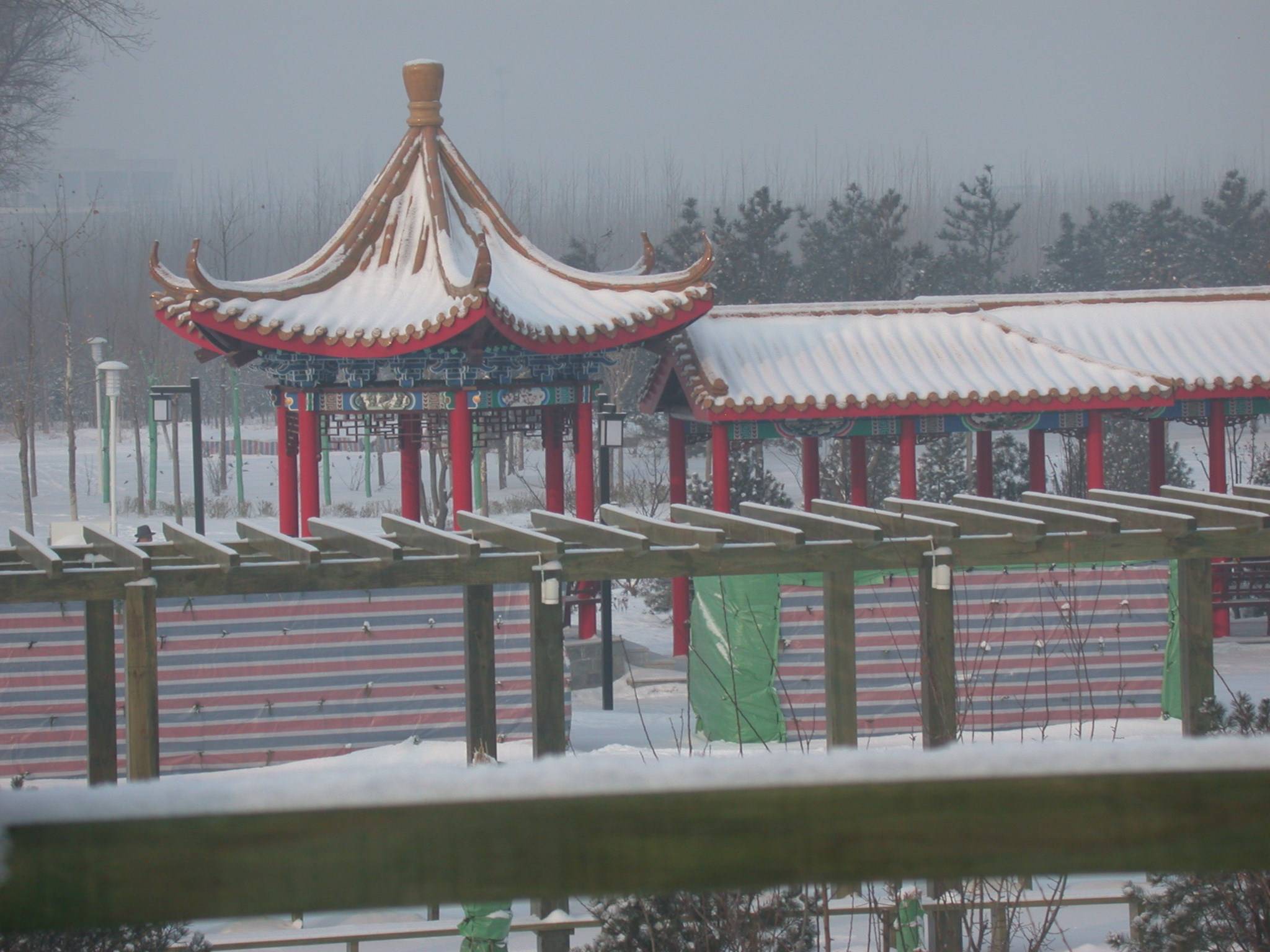 DSCN2314.JPG