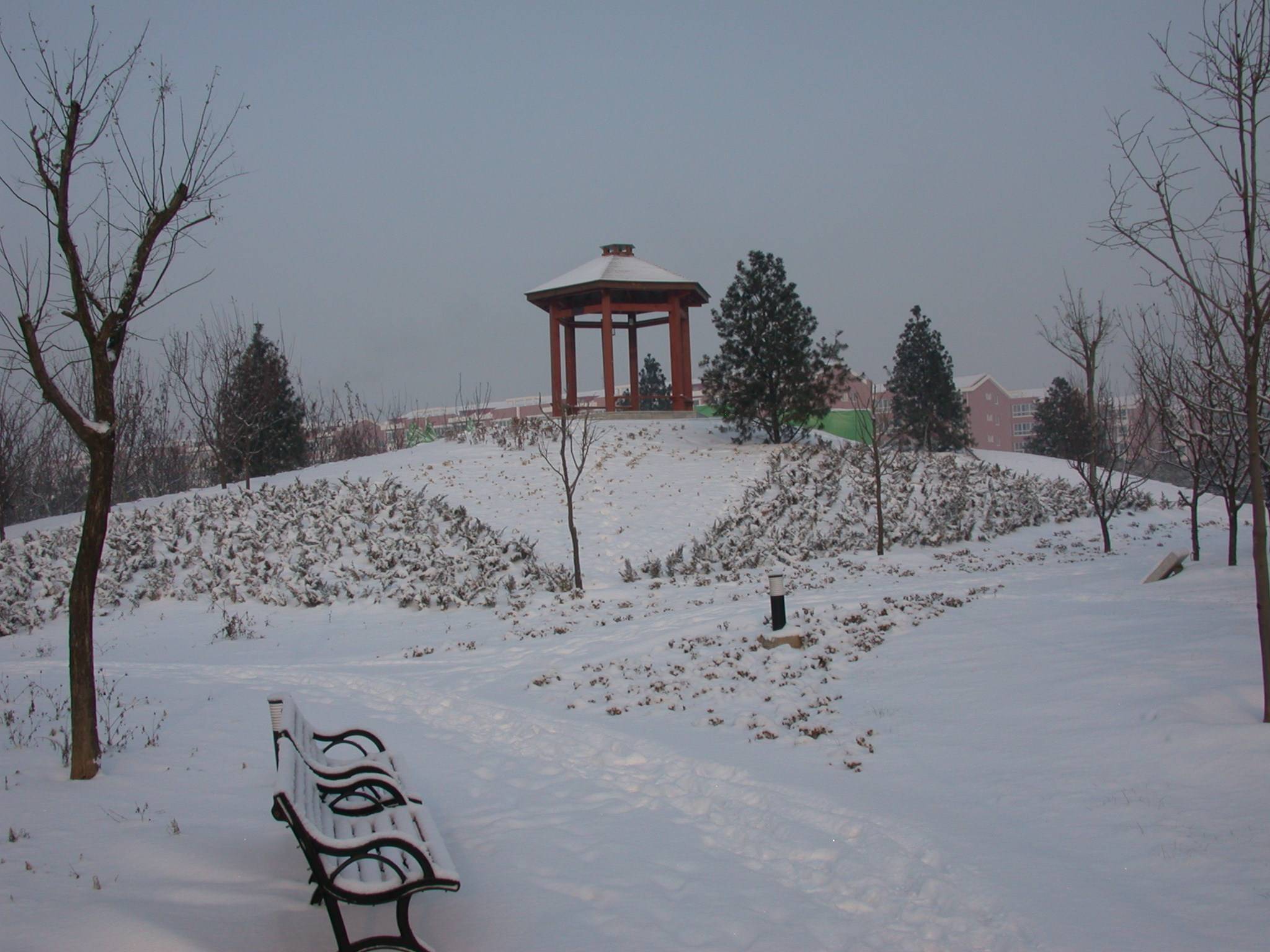 DSCN2278.JPG