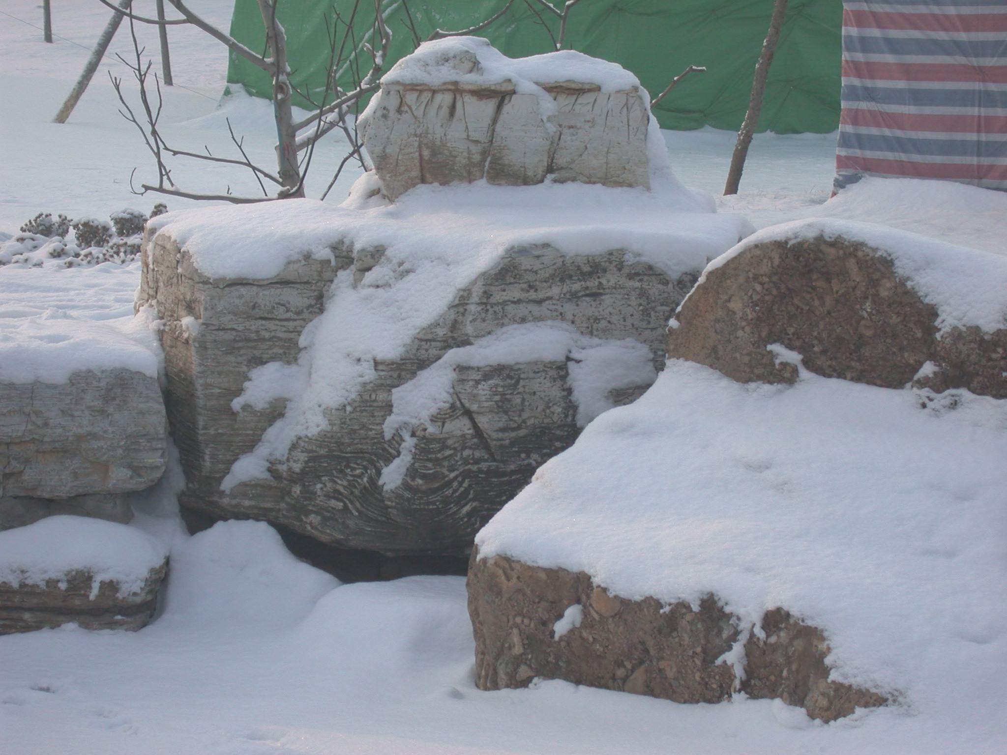 DSCN2289.JPG