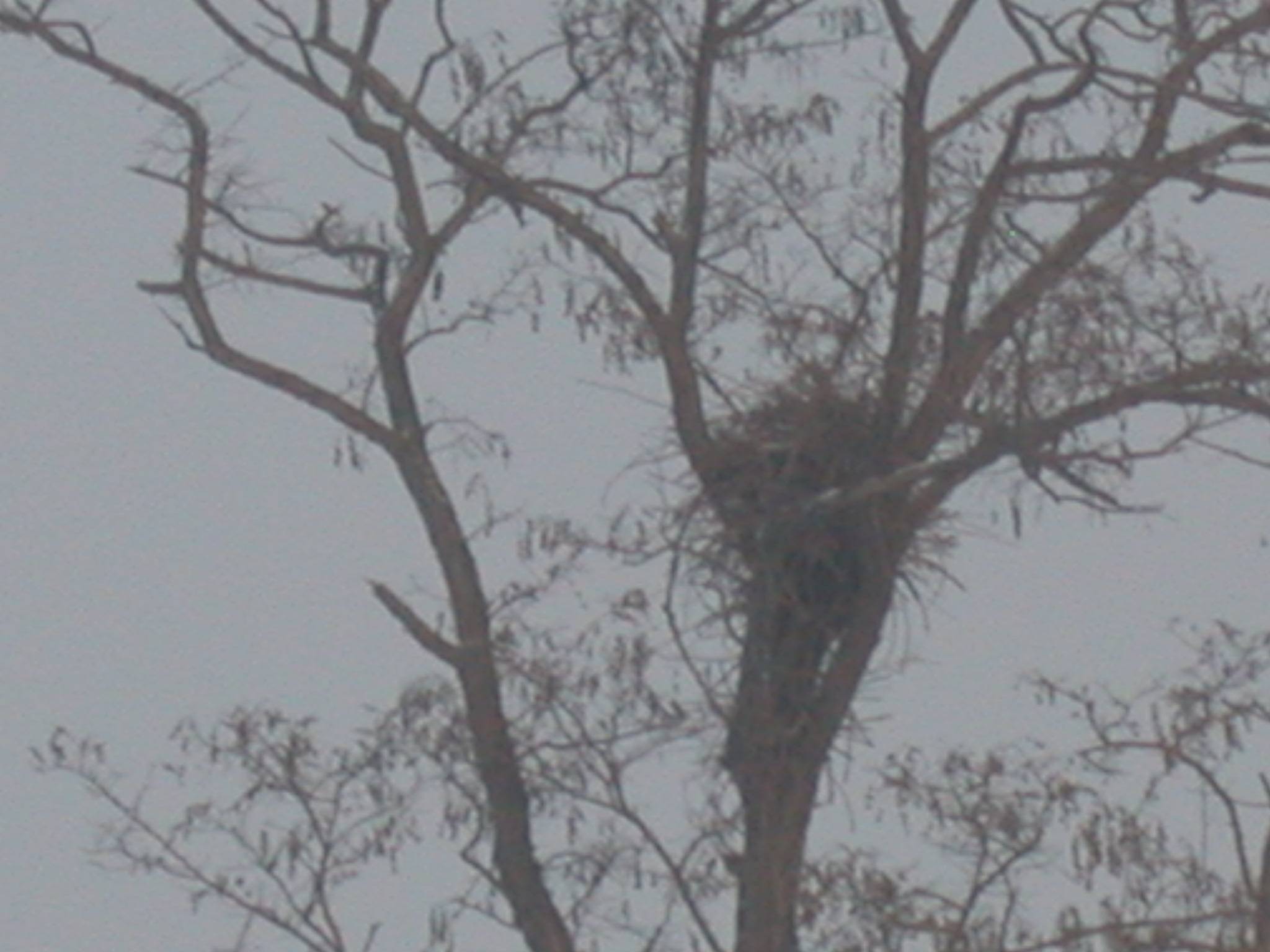 DSCN2305.JPG