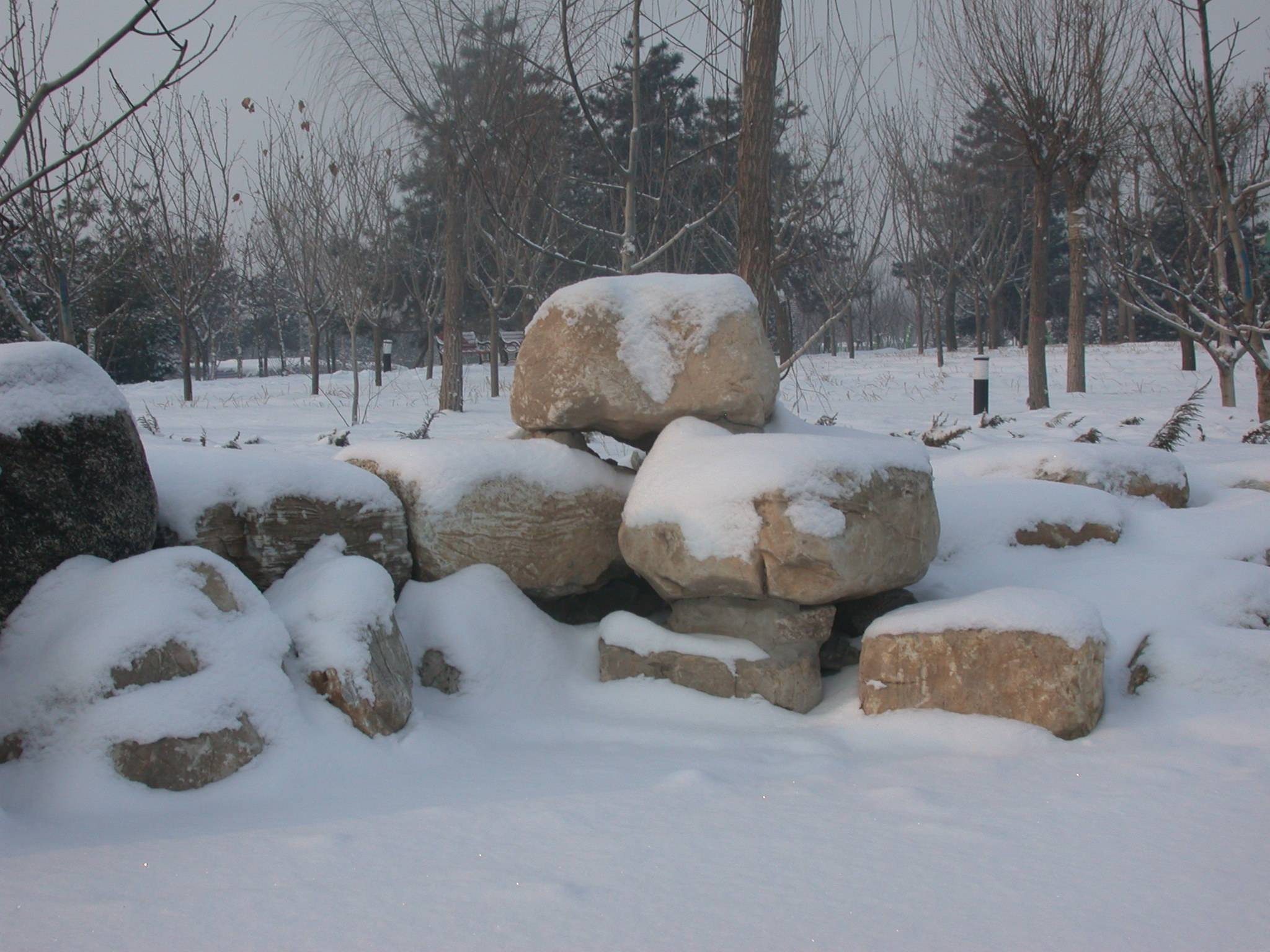 DSCN2291.JPG