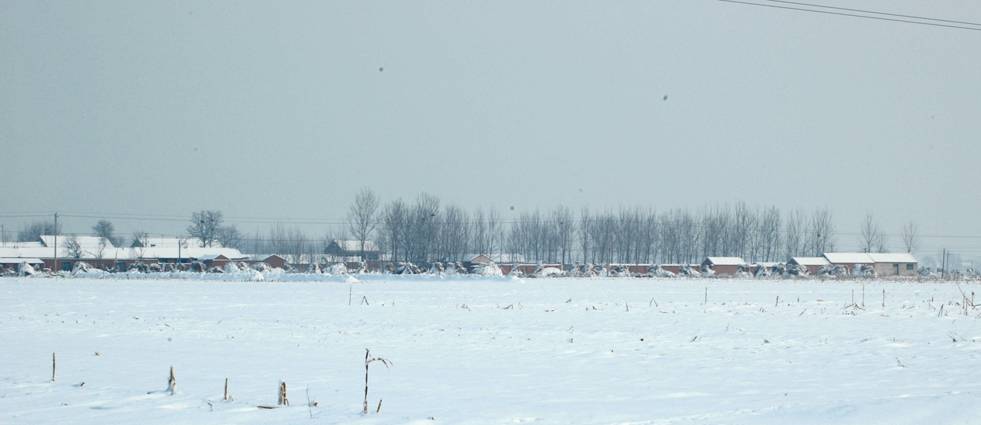 DSC_8394.JPG