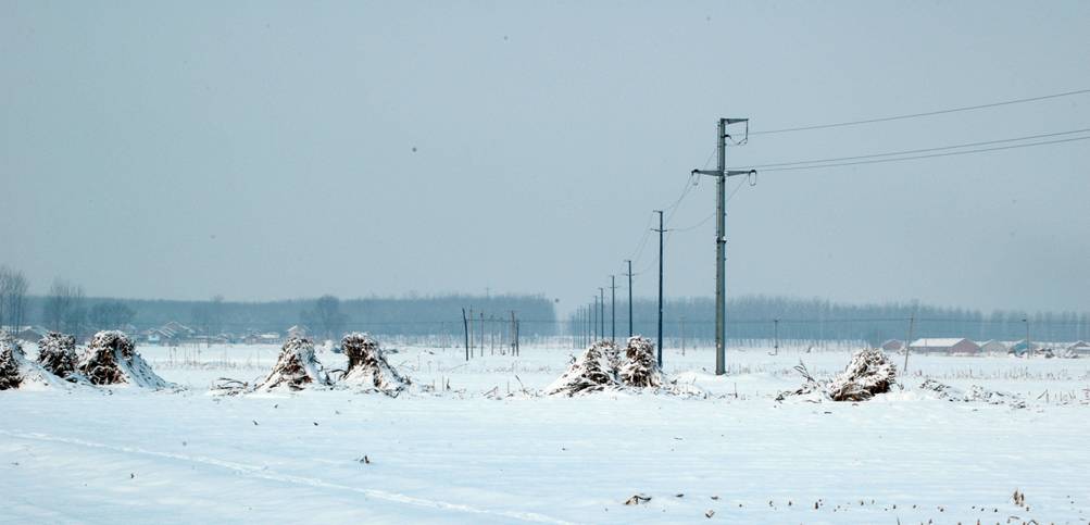DSC_8400.JPG
