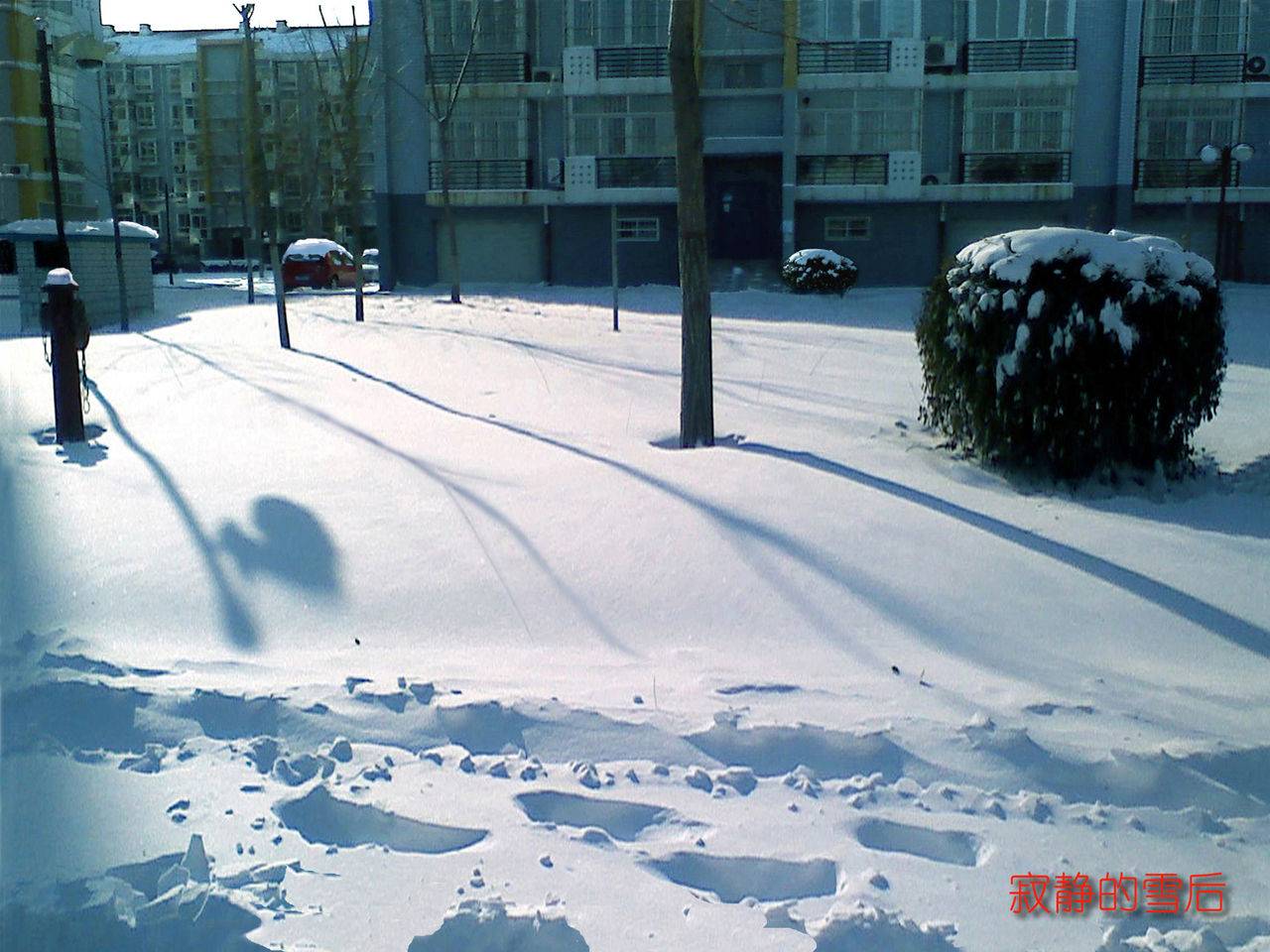 20081200.jpg