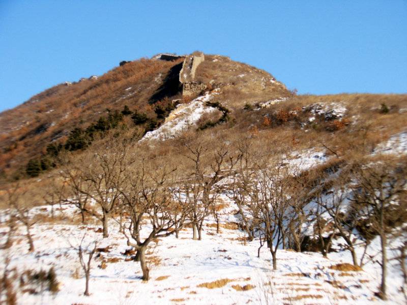 DSC05989_.jpg