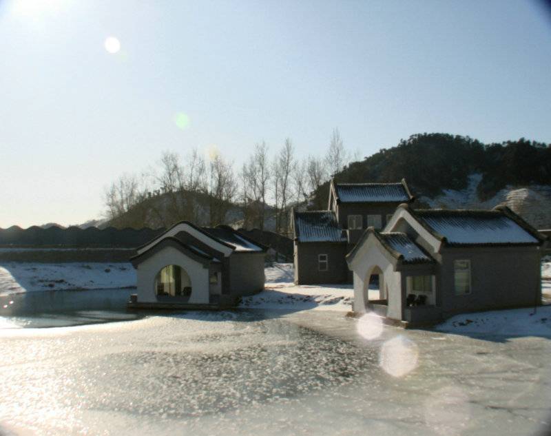 DSC05986.jpg
