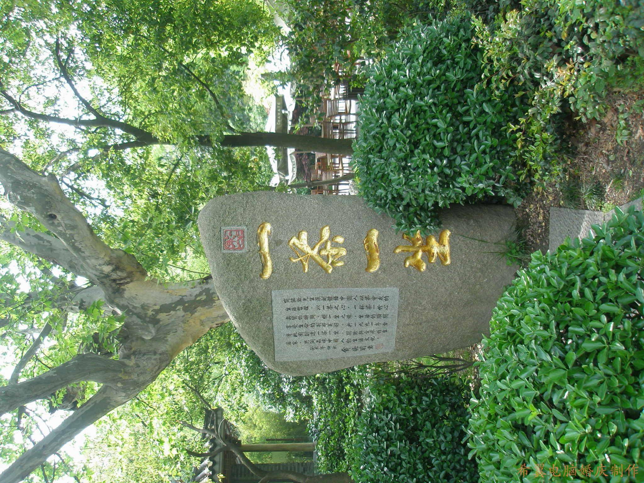 conew_p2040267.jpg