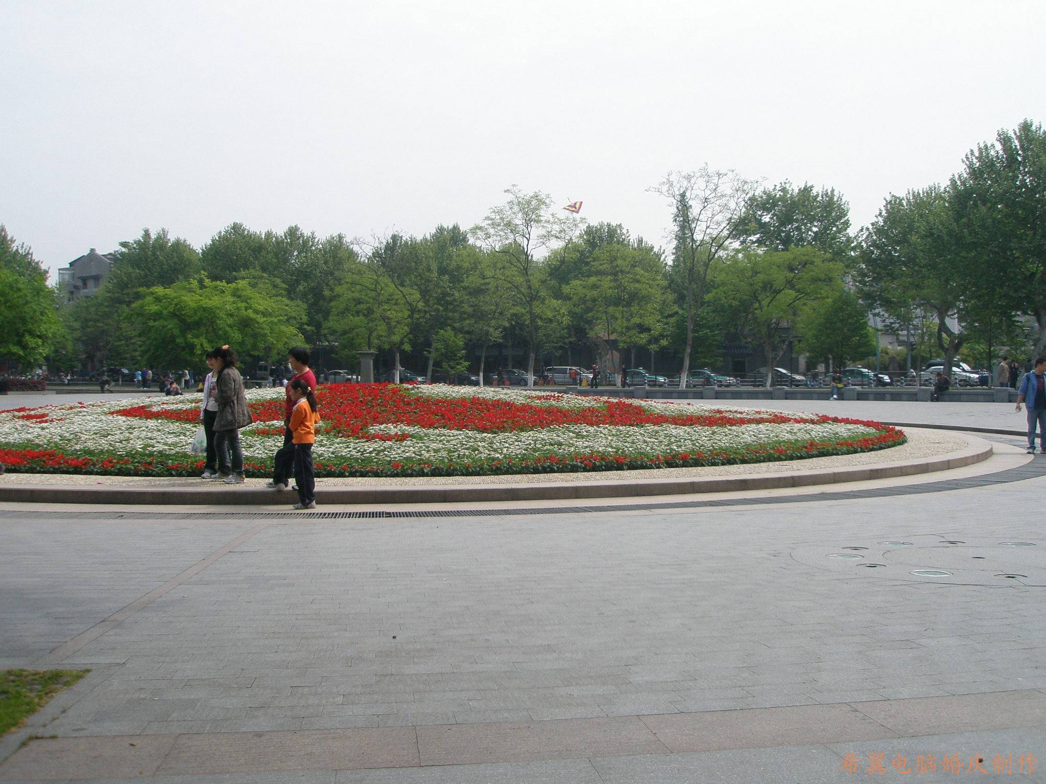 conew_p2040262.jpg