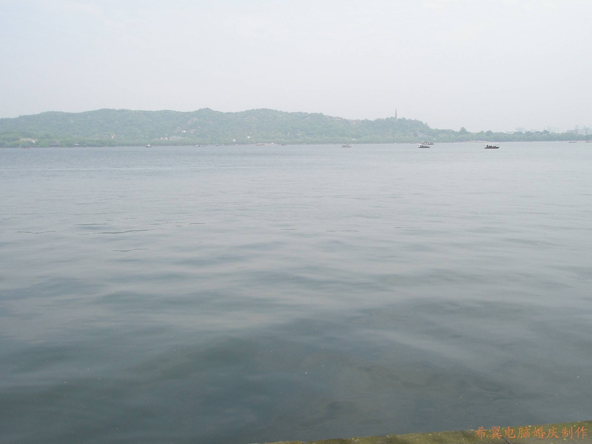conew_p2040268.jpg
