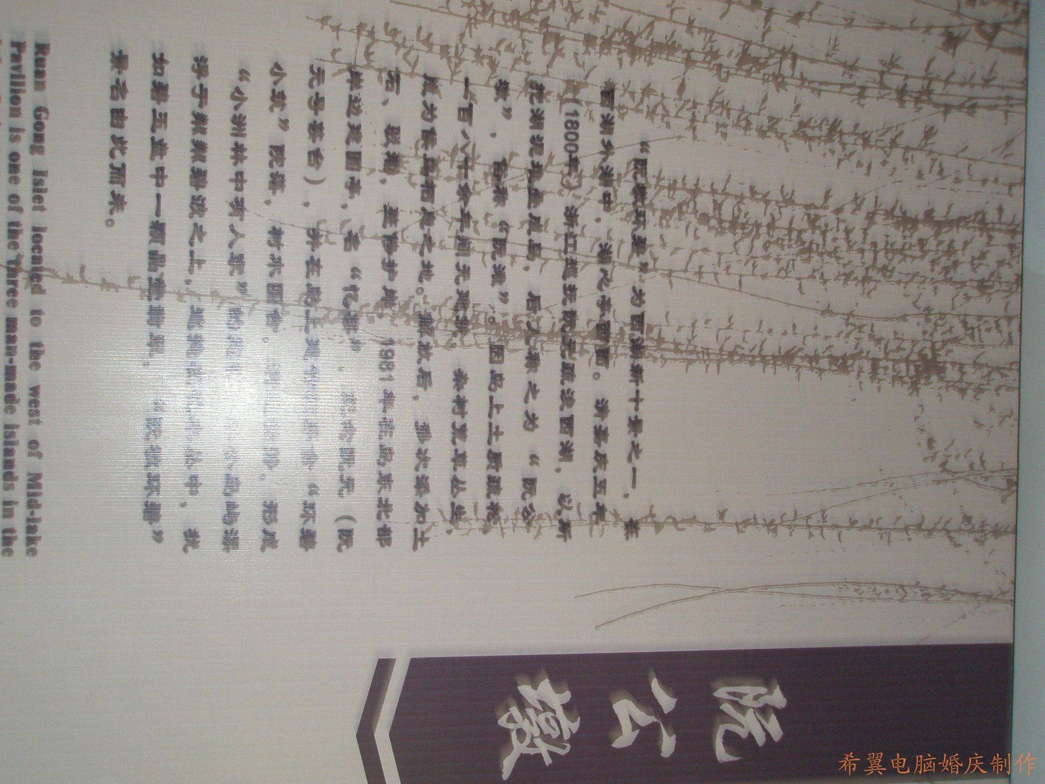 conew_p2040280.jpg