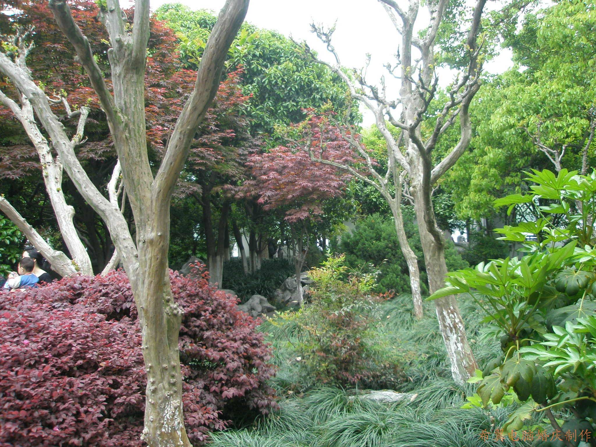 conew_p2040287.jpg