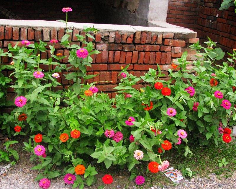 IMG_1684_Ӱ_1.jpg