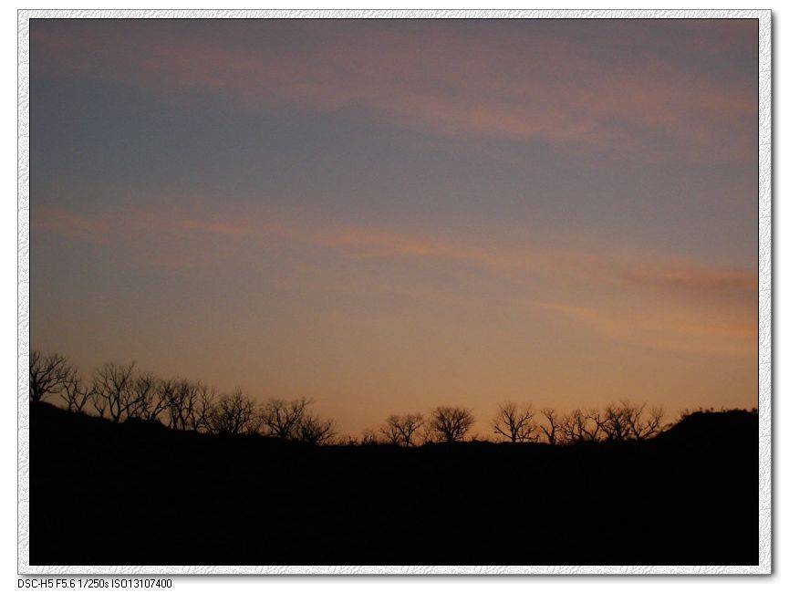 DSC07287.jpg