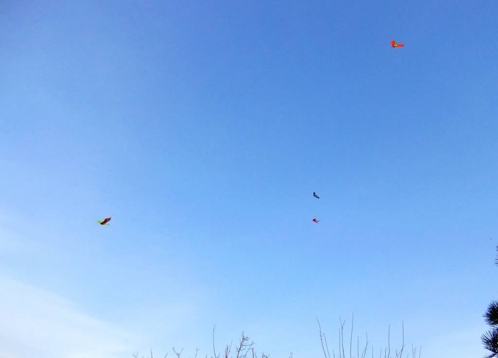 DSCF1594.JPG