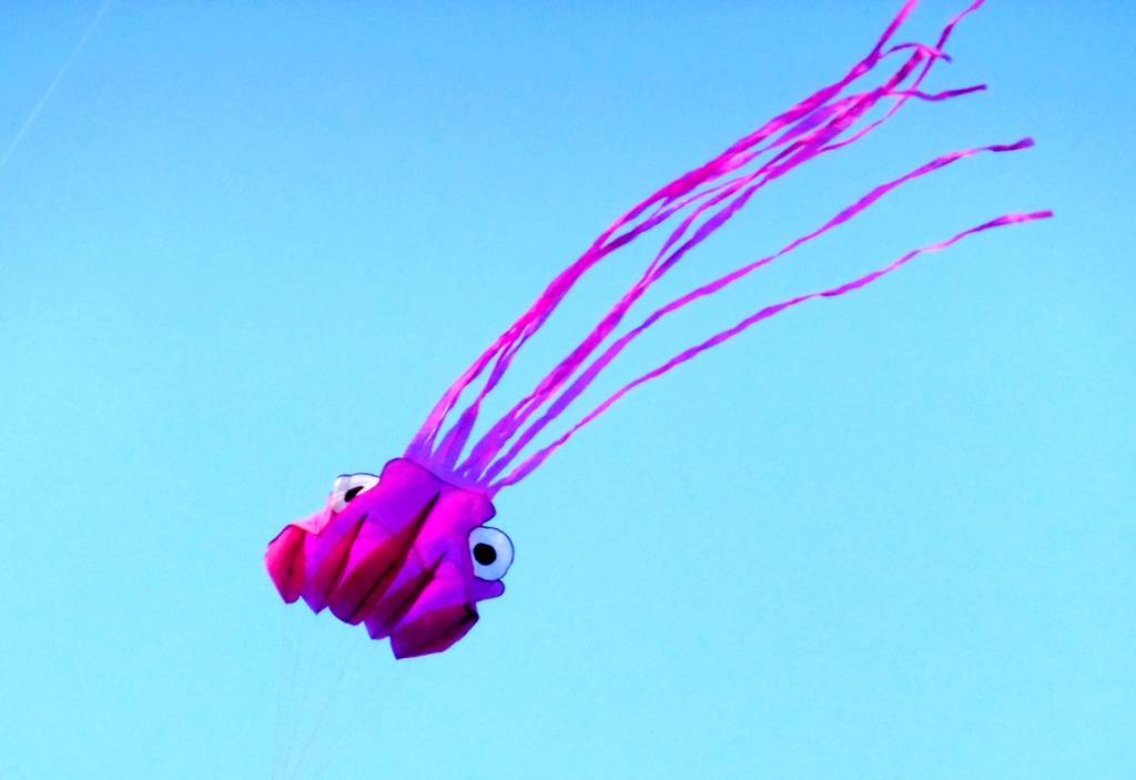 DSCF1606.JPG