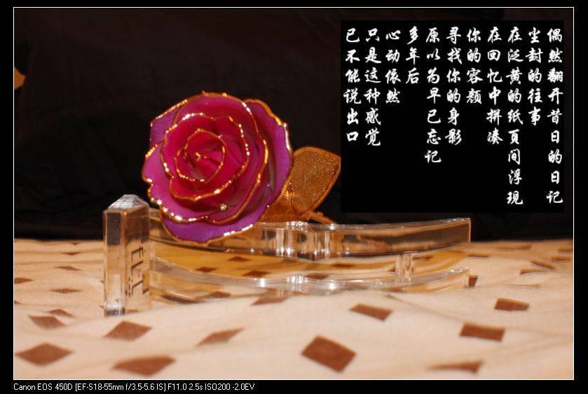IMG_17891.jpg