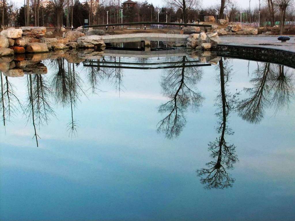 DSCF1568.jpg