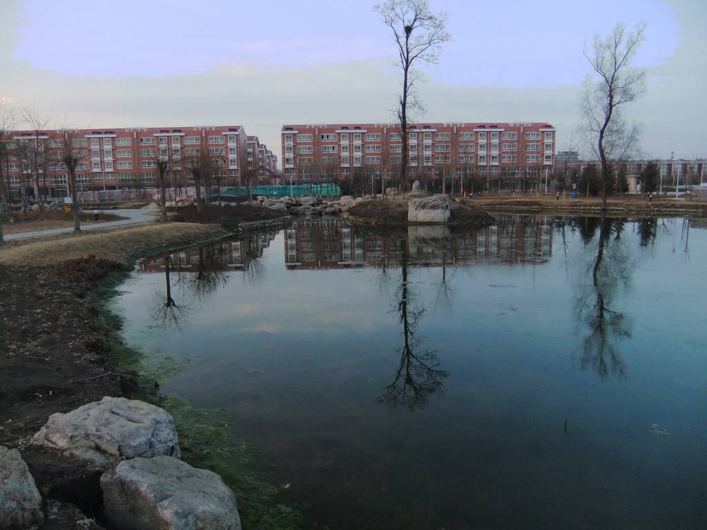 DSCF1574.jpg