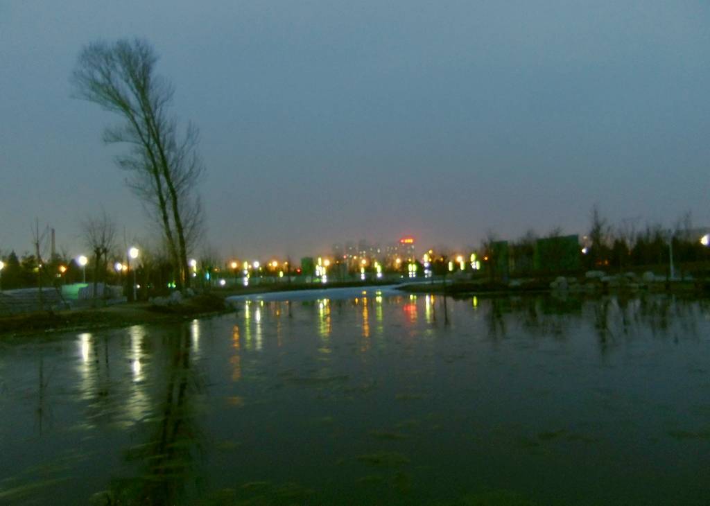DSCF1584.JPG