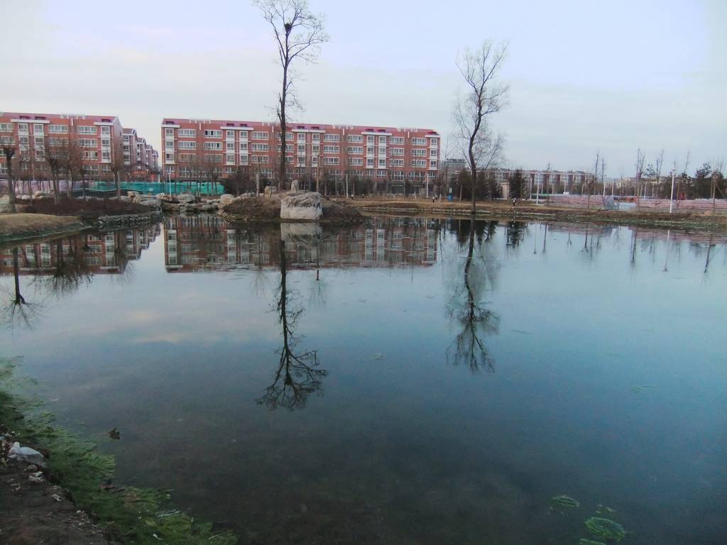 DSCF1575.jpg