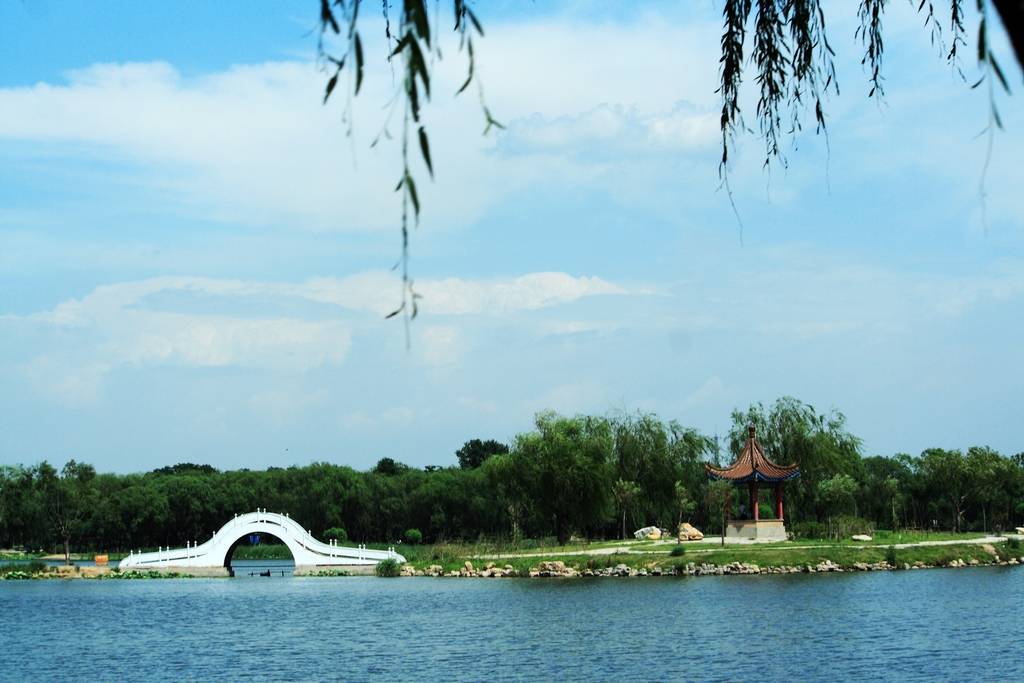 IMG_9697.jpg