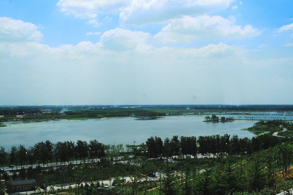 IMG_9634.jpg