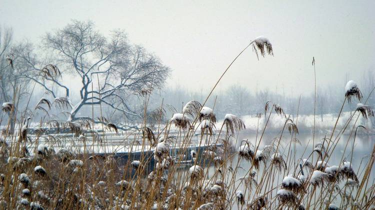 DSC08331-1_С.jpg