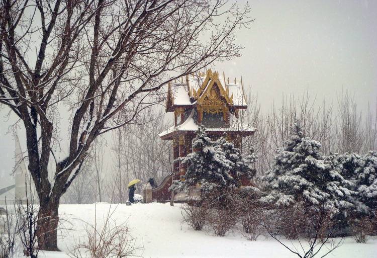 DSC08426_С.JPG