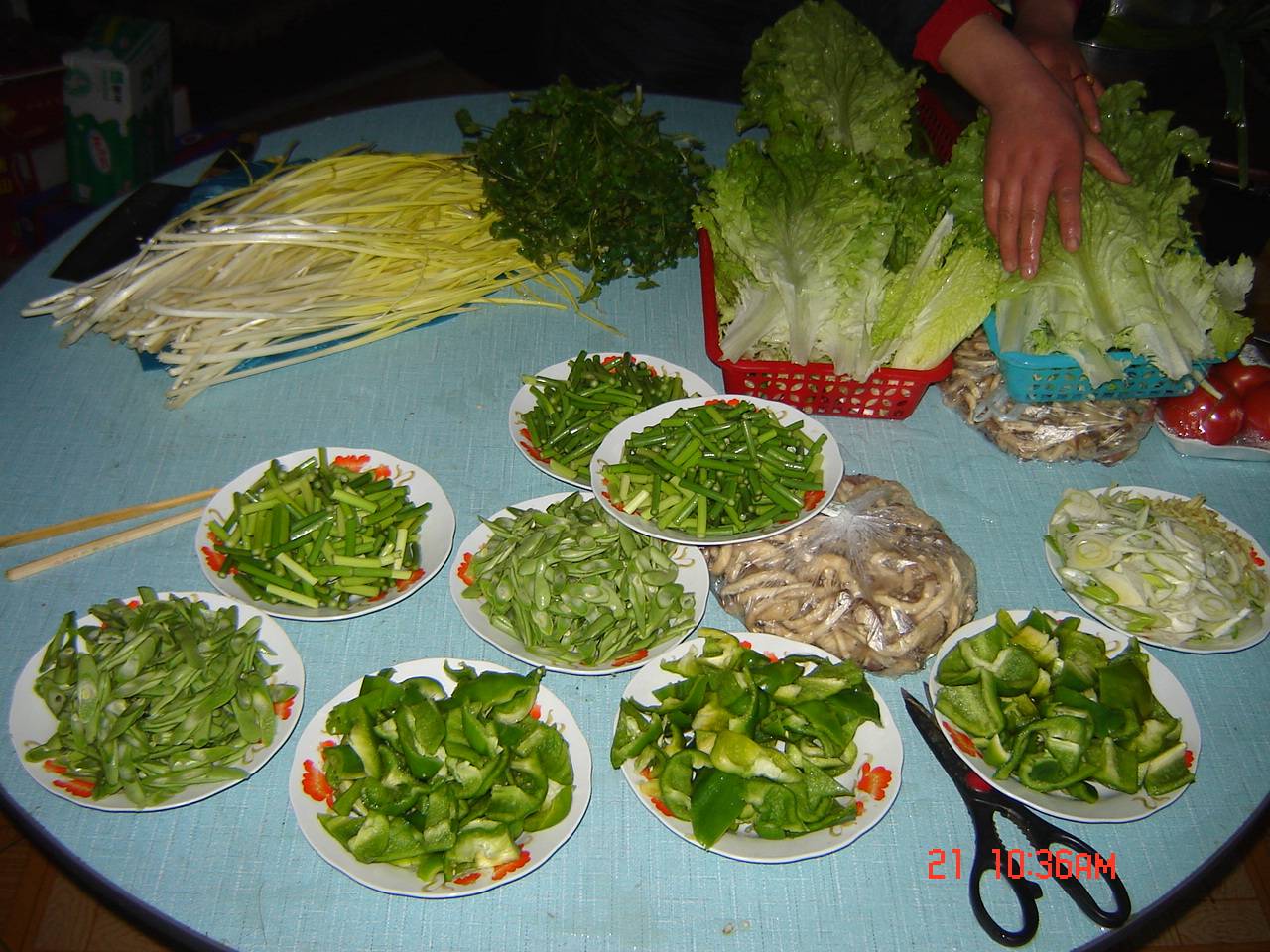 DSC03388.JPG