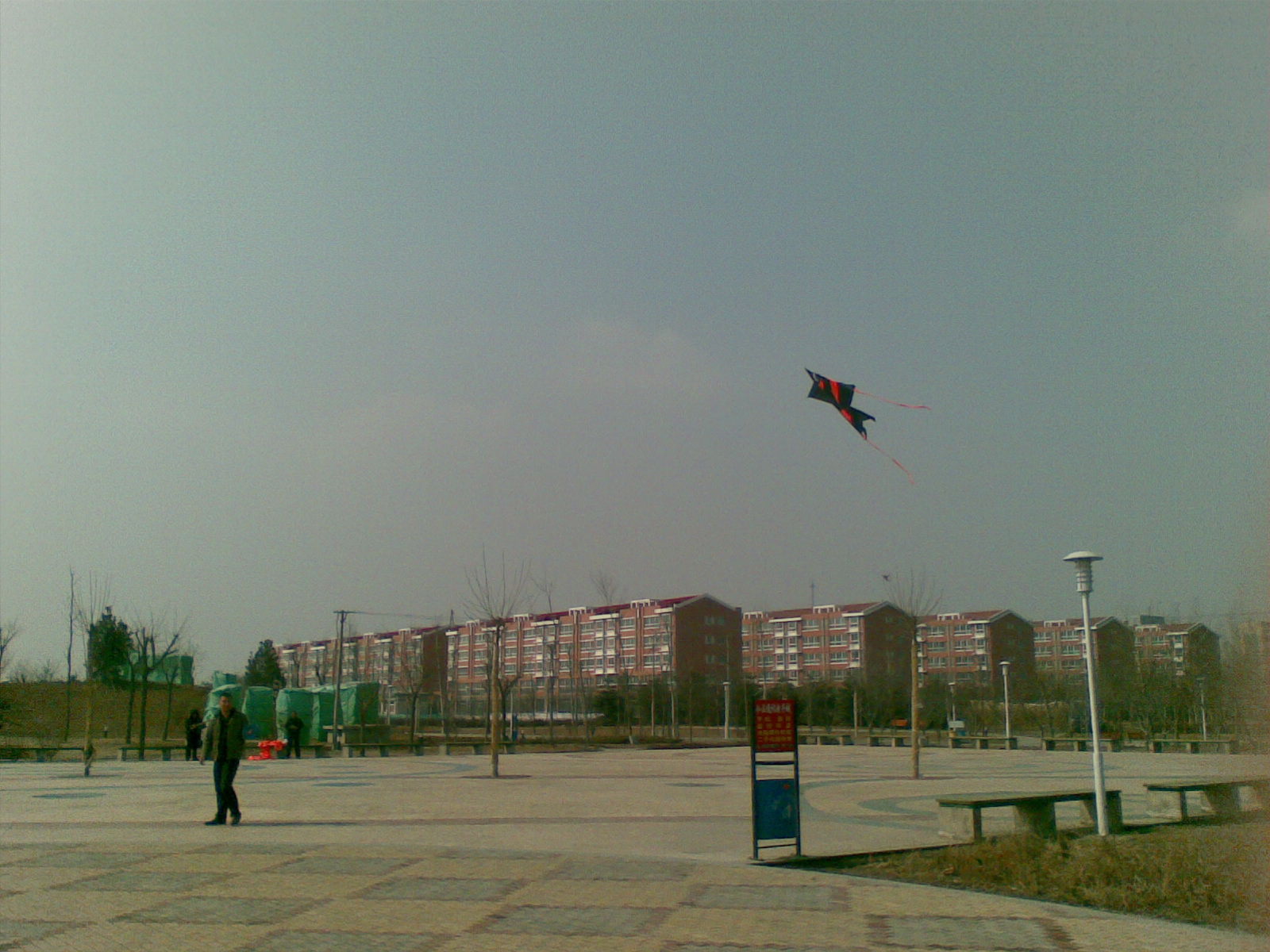 20100316_007.jpg