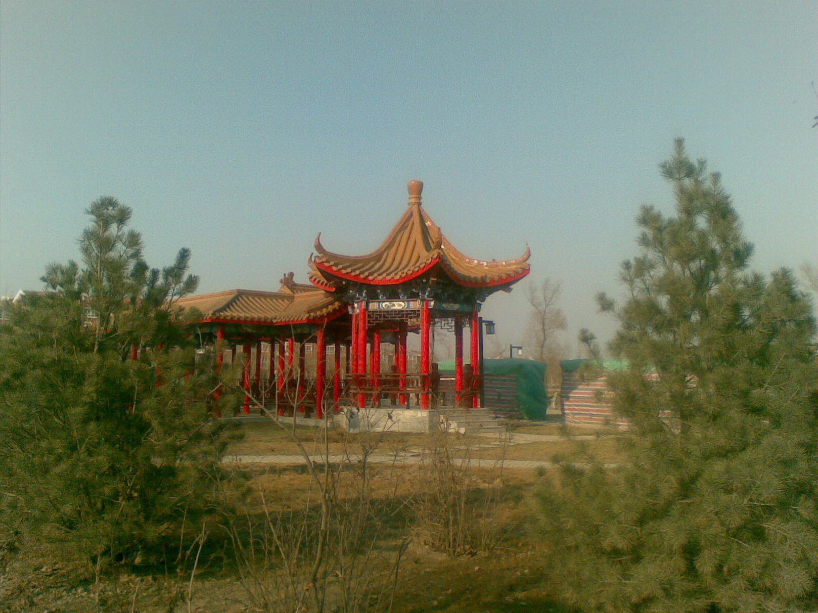 20100328_010.jpg