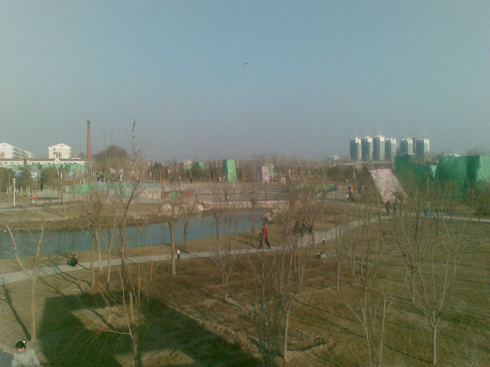 20100328_014.jpg