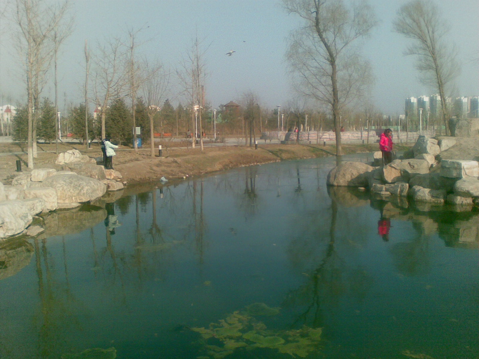 20100328_012.jpg