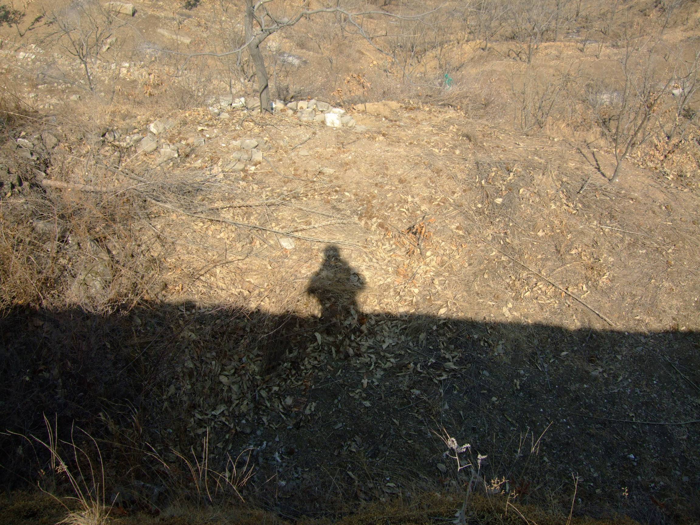 DSCF3010.JPG