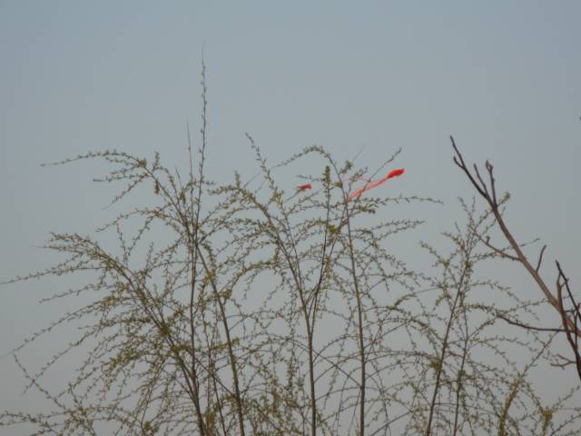 DSC00469.JPG