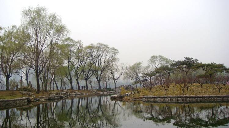 DSC08945_С.JPG