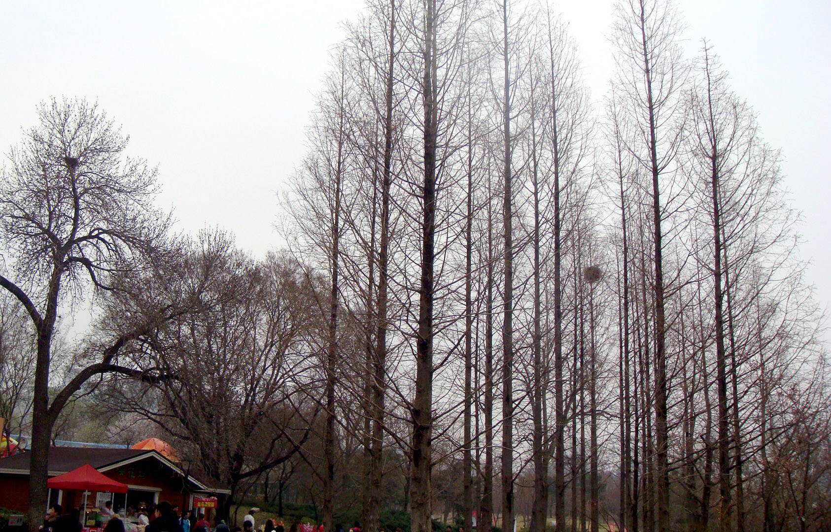 DSC09087.JPG