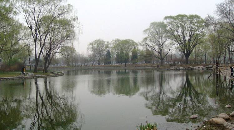 DSC09063_С.JPG